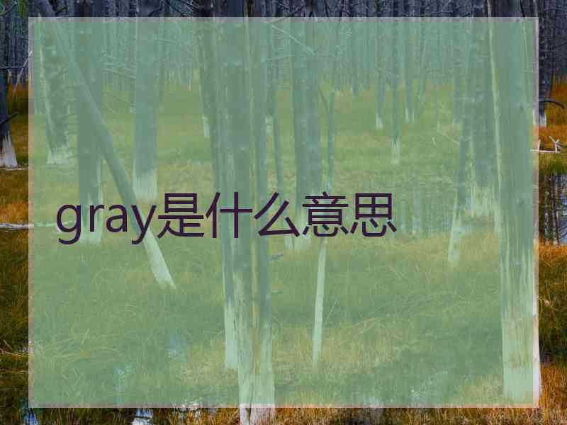 gray是什么意思