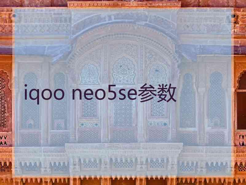 iqoo neo5se参数