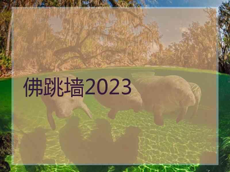 佛跳墙2023